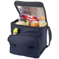 Stockholm Foldable Cooler Bag 10L PFC