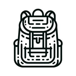branded back luggage